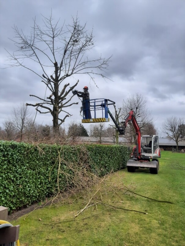 Bomen snoeien bij Camping 't Vossenveld